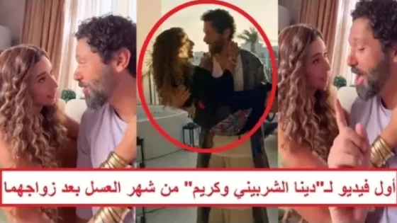 علاقة سرية تجمع دينا الشربيني وكريم محمود عبدالعزيز