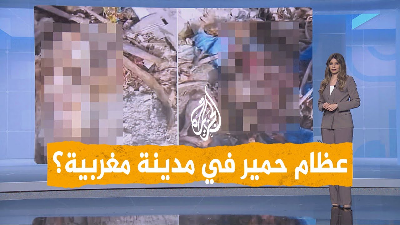 “حصريا” مشاهدة فيديو جماجم الحمير في تازة 2025